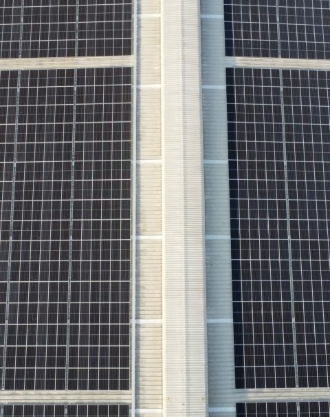 z7459508481764_9561162e333d6b8ececa7e64bee18dbe